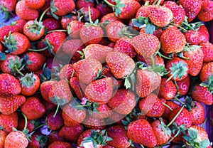 Strawberry in Thailand Market