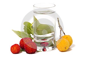 Strawberry Tree (Arbutus Unedo) fruit with aguardiente