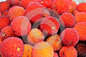 Strawberry Tree Fruits Arbutus Unedo