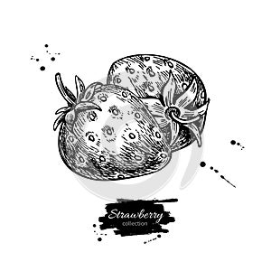 Strawberry vector drawing. Isolated hand drawn berry on white