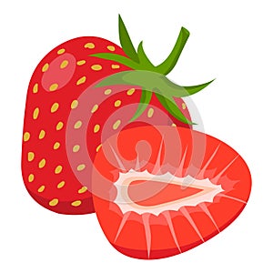 Strawberry vector.Fresh strawberry illustration