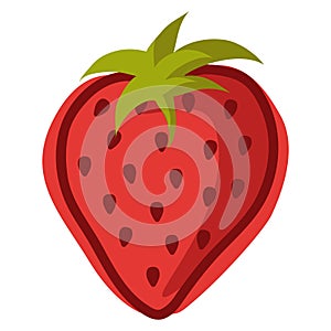 Strawberry; vector illustration.