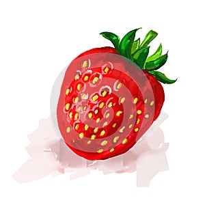 Strawberry Vector illustration hand drawn