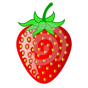 Strawberry vector illustration