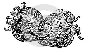 Strawberry Vintage Woodcut Illustration