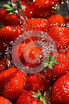 Strawberry Wash