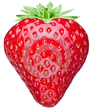 Strawberry on the white background.