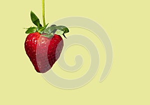 Strawberry on yellow background