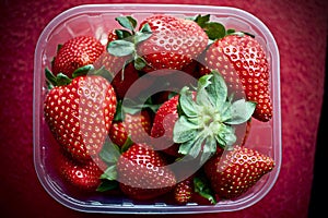 Strawberrys in basket