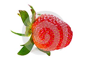 Strawberrys isolated on white background