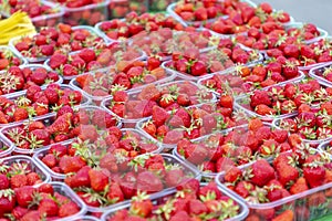 Strawberrys at a market