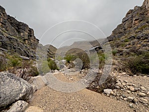 Strawhouse Wash At The Base Of Sierra Del Caballo Muerto Mountains In A Remote Section Of Big Bend