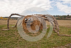 Strawy spider in autumn countryside photo