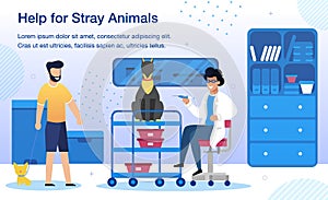 Stray Animals Help in Vet Clinic Vector Banner