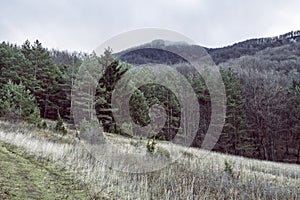 Strazov hill, Strazov Mountains, Slovakia