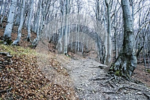 Strazov hill, Strazov Mountains, Slovakia