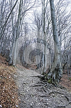 Strazov hill, Strazov Mountains, Slovakia