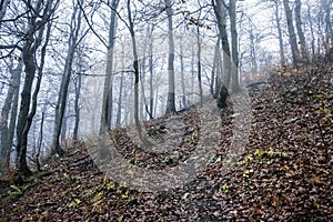 Strážovský kopec, Strážovské hory, Slovensko