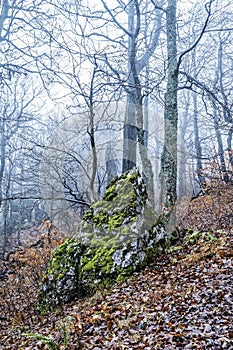 Strazov hill, Strazov Mountains, Slovakia