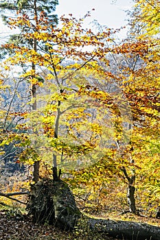 Strážovské hory, Slovensko, sezónní přírodní scenérie