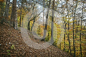 Strazov mountains, Slovakia, seasonal natural scene