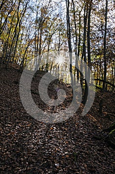 Strazov mountains, Slovakia, seasonal natural scene