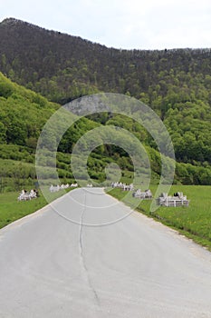 Strazovske vrchy hills near Zliechov, Slovakia