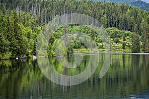 Strbske pleso area, Slovakia, seasonal natural scene