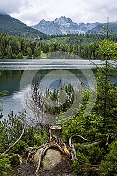 Štrbské pleso, Slovensko, sezónní přírodní scenérie