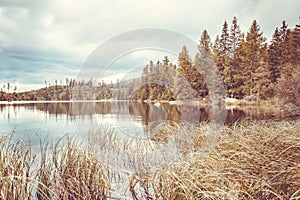 Štrbské Pleso. Sitina, ihličnatý les.