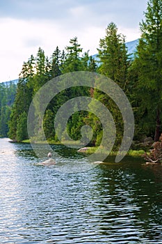 Strbske pleso mountain lake, Slovakia