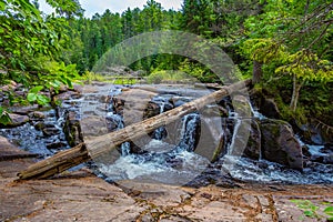 Stream Algonquin Park Ontario Canada