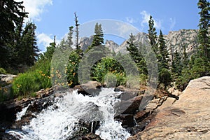 Stream along the trail Rocky Mountain National Park 4