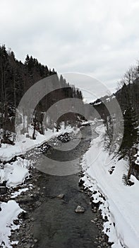 Stream in the alps