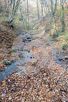 Stream in Autumn forest