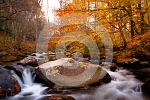 Stream in autumn forest