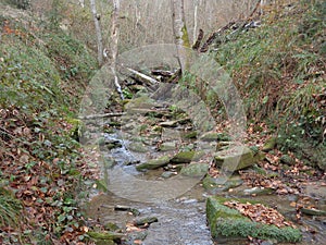 Stream in autumn forest, water flowing among stones