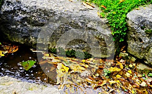 Stream with autumn leaves and boulders with grass