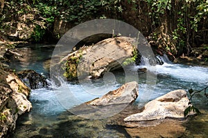 Stream Bahias (Hermon), National Reserve, Israel. Golan heights