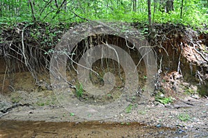 Stream Bank Erosion photo