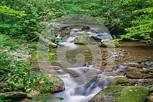 Stream in the Blue Ridge Mountains of Floyd County, Virginia, USA.