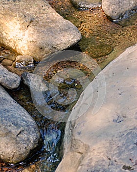 Stream and Boulders