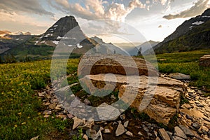 Stream Breaks Around Boulders on Logan Pass