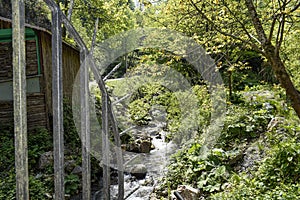 Stream and bridge in an old garden