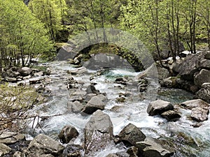 Stream Calnegia or Fiume Calnegia, Foroglio The Bavona Valley or Valle Bavona, Val Bavona or Das Bavonatal