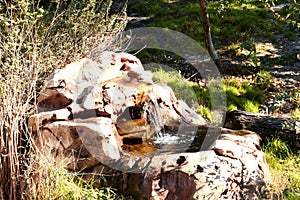 A stream of clear water gurgles among the stones