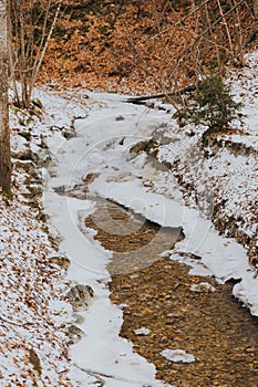 stream with clear water next to trees and snowy slope, with patches of brown leaves