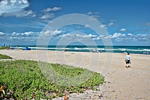 Atlantic Ocean Beach, Stuart, FL