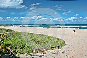 Atlantic Ocean Beach, Stuart, FL