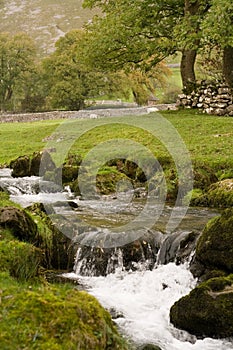 Stream in countryside